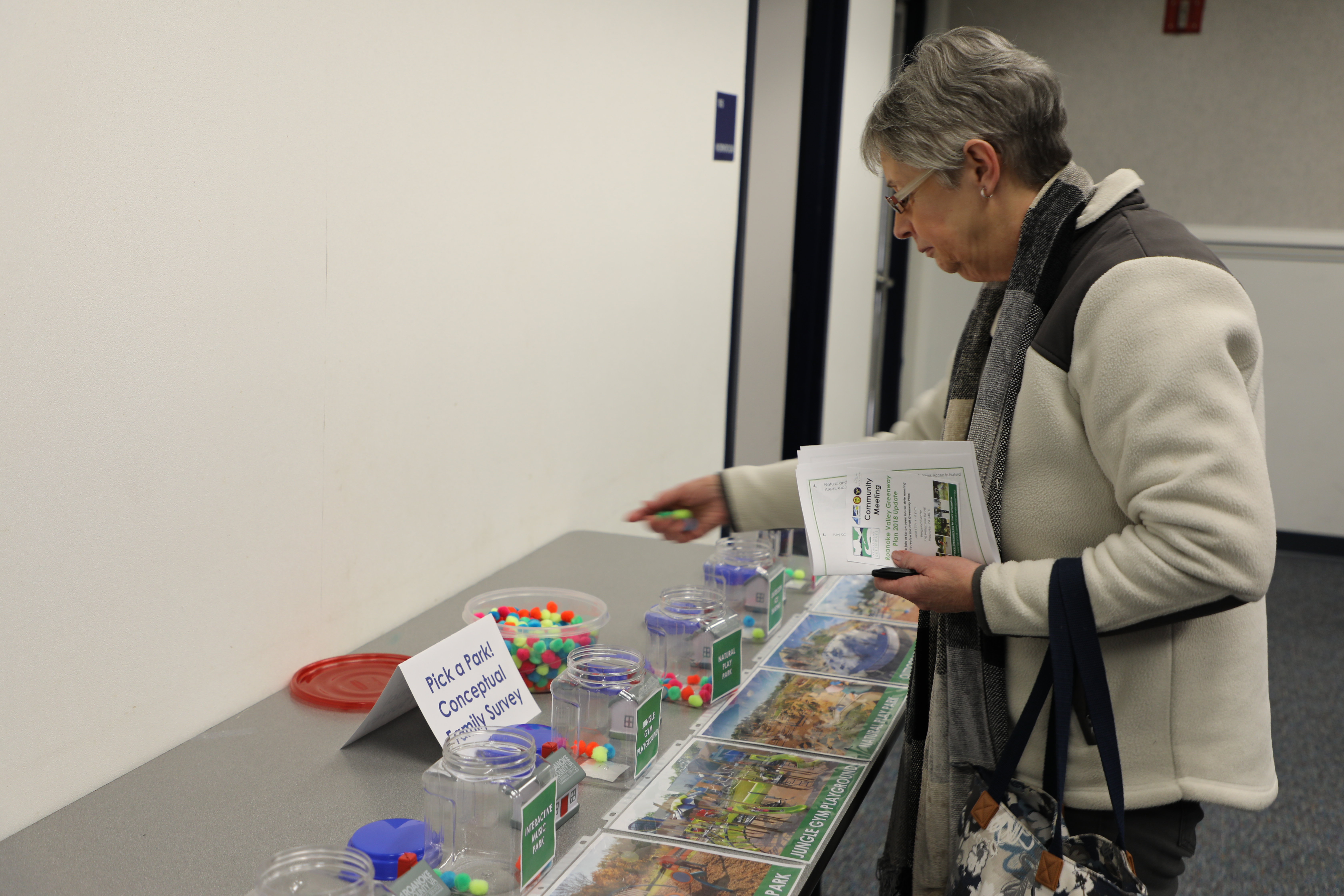 Hollins Center Community Meeting - March 2018